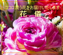 花儀生花店 〜Hanayoshi〜は神奈川県愛甲郡愛川町にある老舗の花屋です。お花の事なら何でもお任せください。